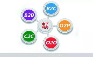 福建省诚毅技术学校 您的信息电子技术服务专业之选